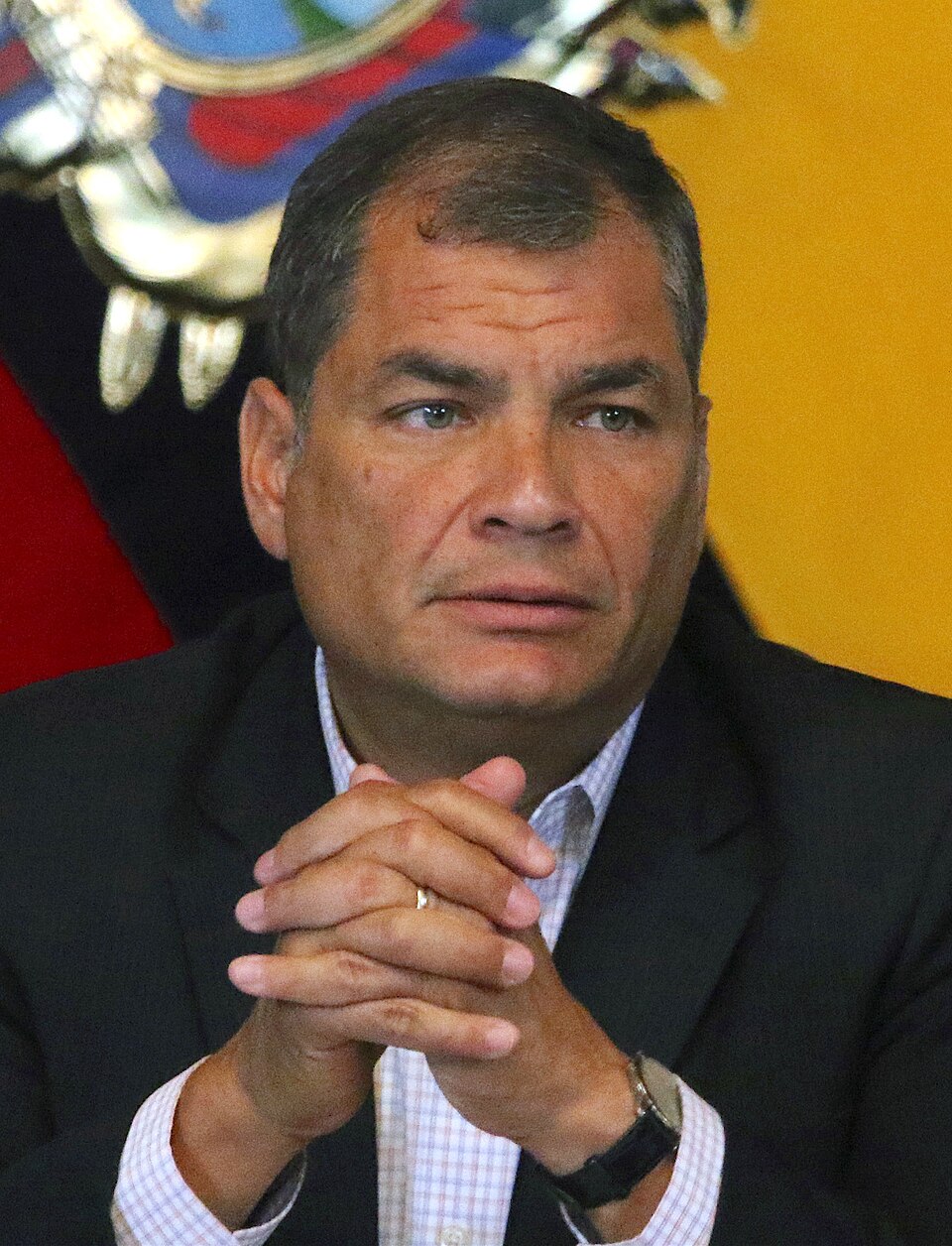 rafael correa net worth - Article 1